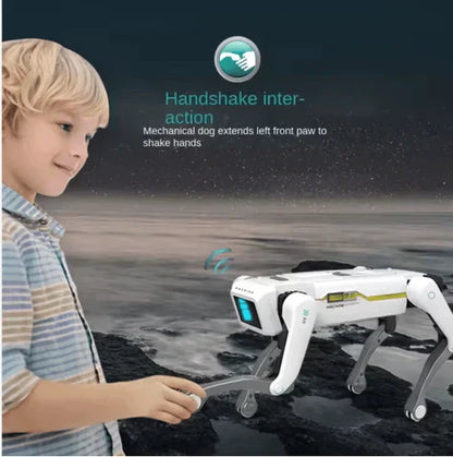 Smart Dog Multifunctional Toy
